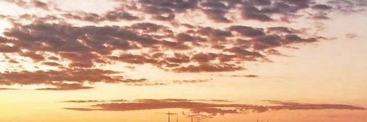 _danielafleal's profile banner image