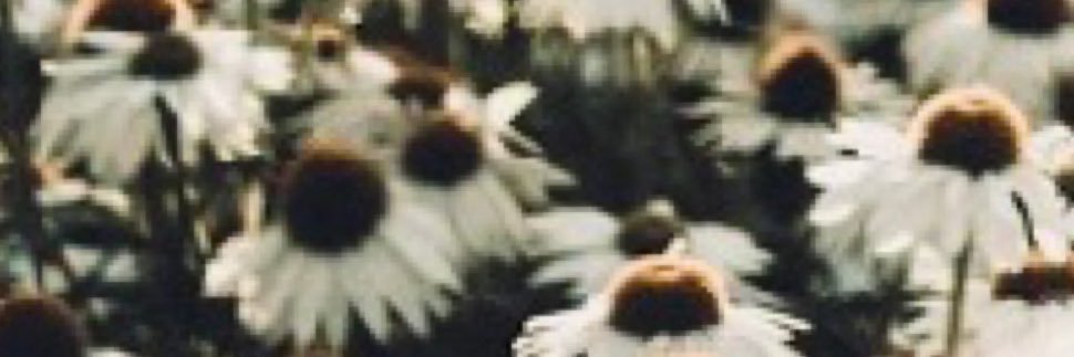 JWegley's profile banner image