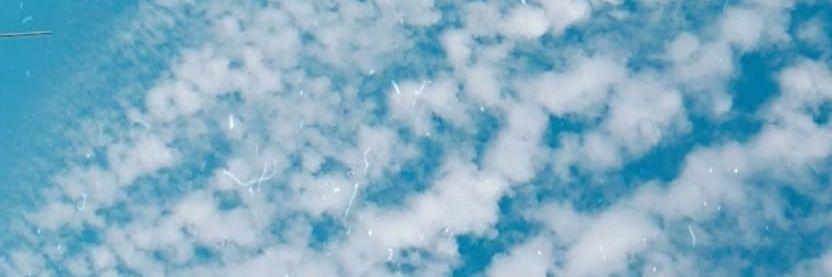 Israa_M_H's profile banner image