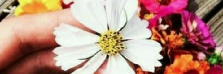 wafiyahAM's profile banner image