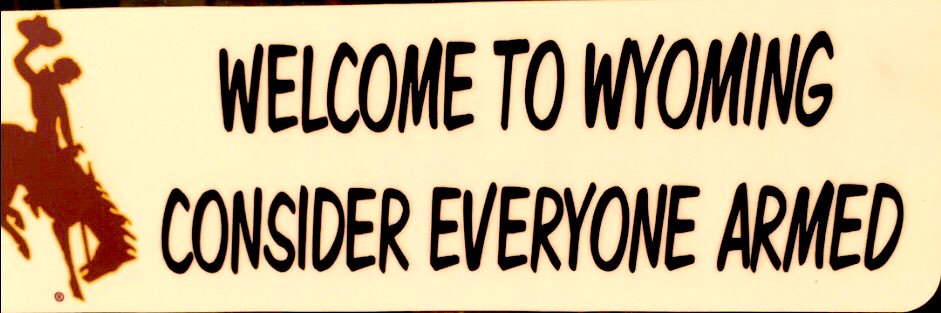 This Particular Individual 🇺🇸 banner