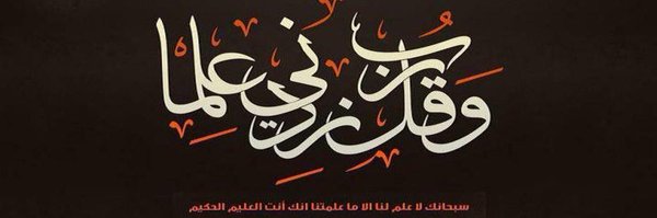 dr_skadi Profile Banner