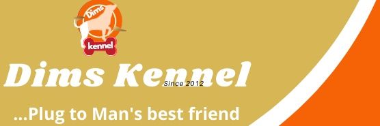 Ola_Dims's profile banner image