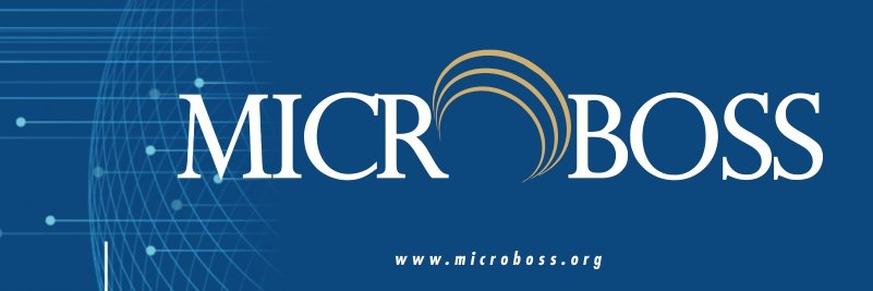 microbosstech's profile banner image