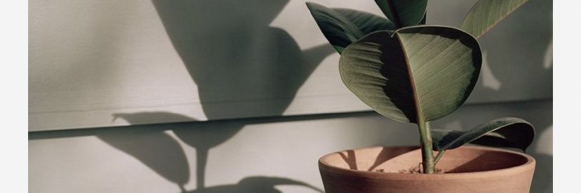 EmilyMy294's profile banner image