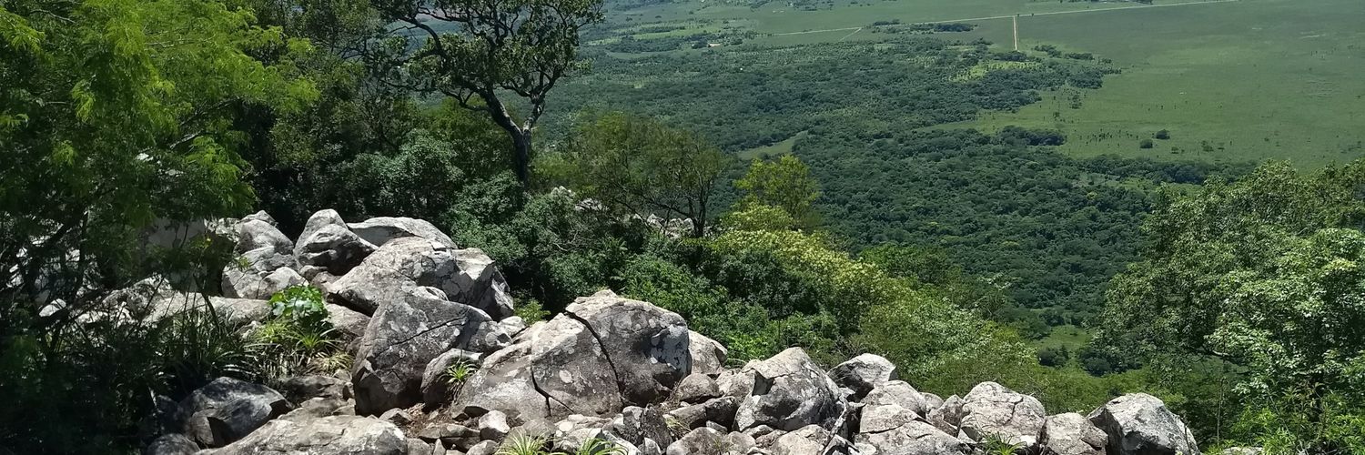 carlinEsquivel's profile banner image
