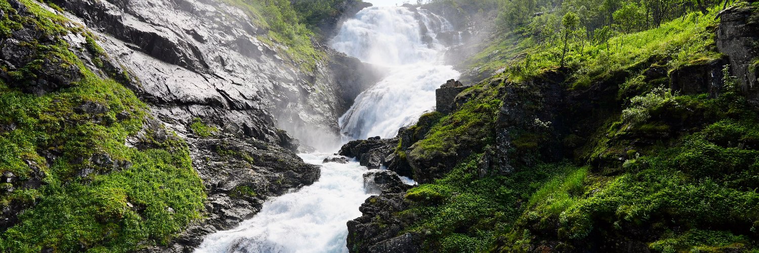 Christopher Taylor banner