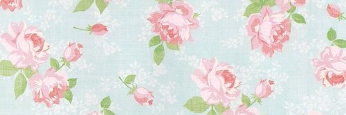 nellyNT's profile banner image