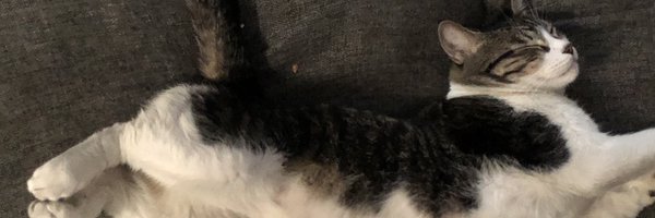 lalejandro_m Profile Banner