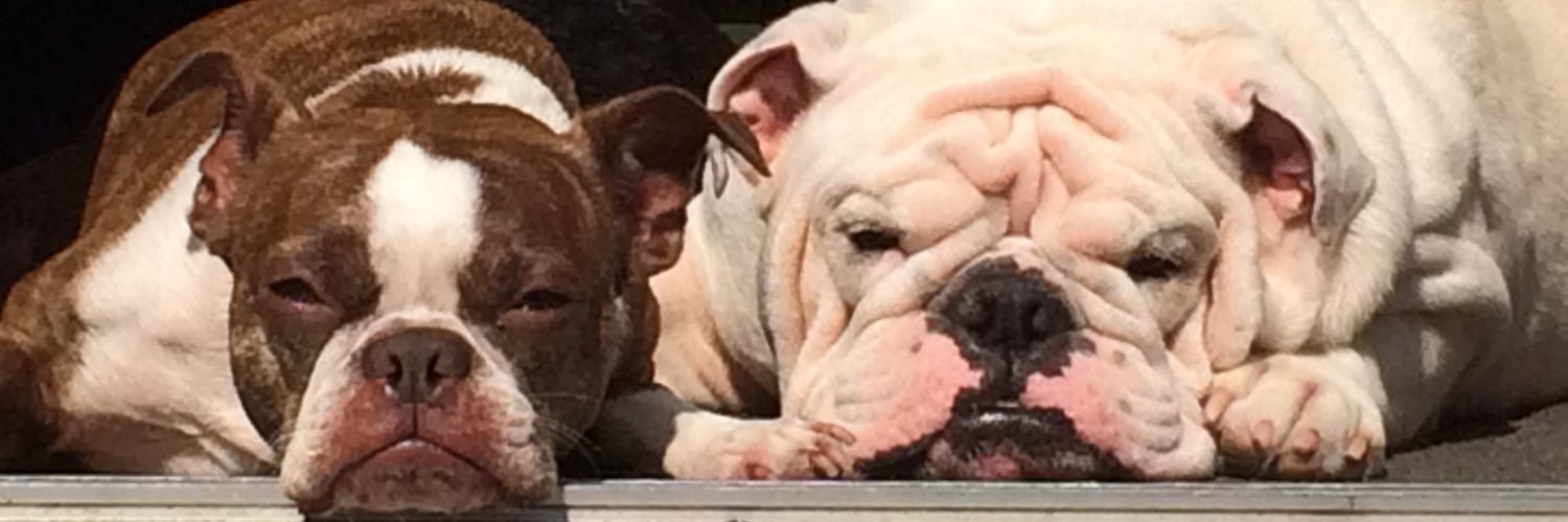 Danger, Will Robinson! banner