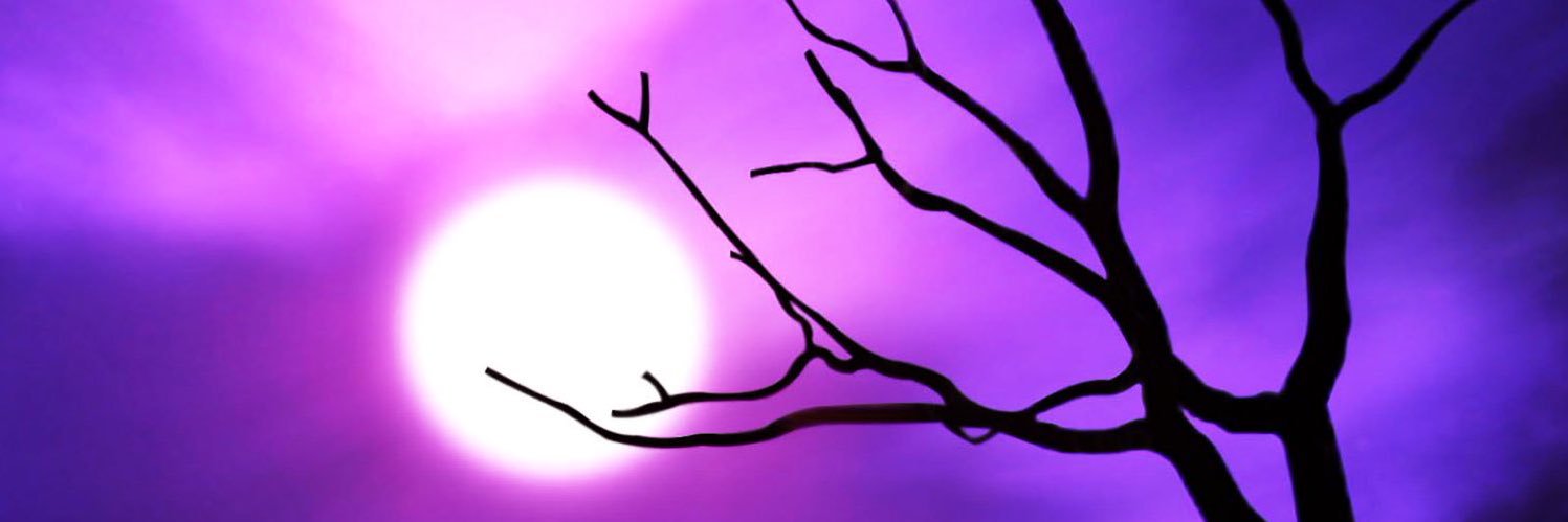 MsJenniStar's profile banner image