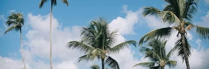 Rafael Debarry banner