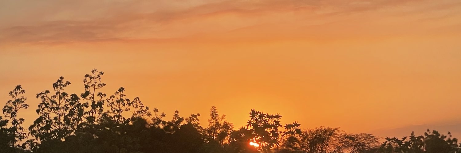 NicoleMatos_12's profile banner image