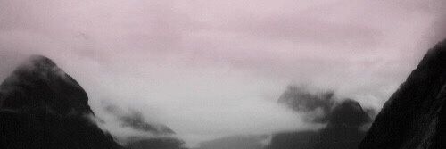 jonqpup's profile banner image