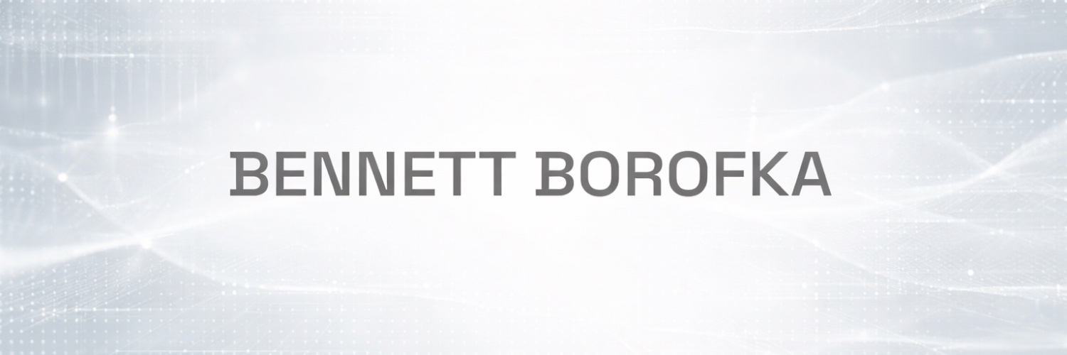 bborofka's profile banner image