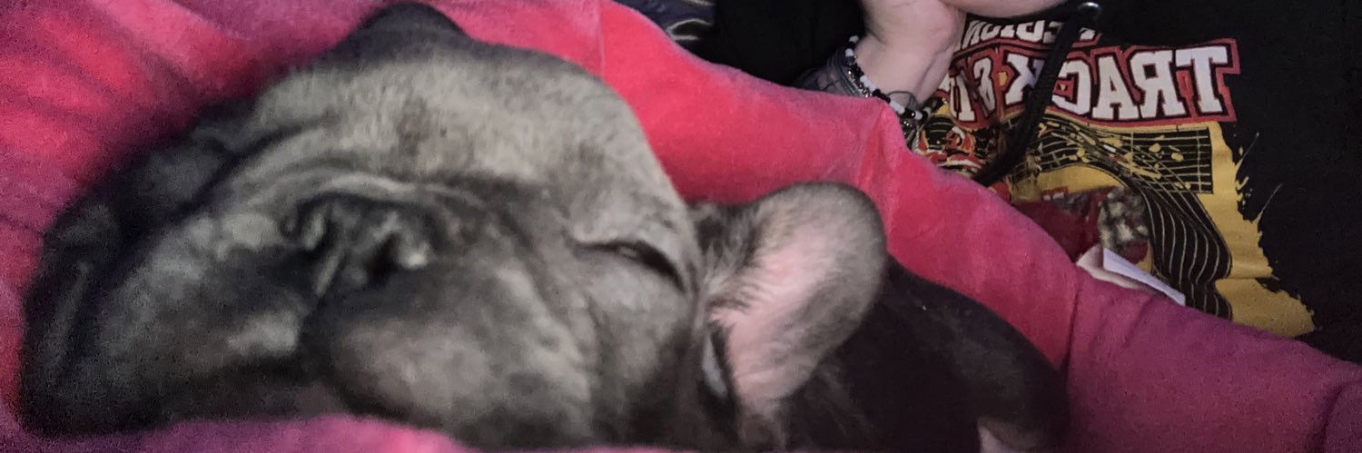 bossbreadd's profile banner image