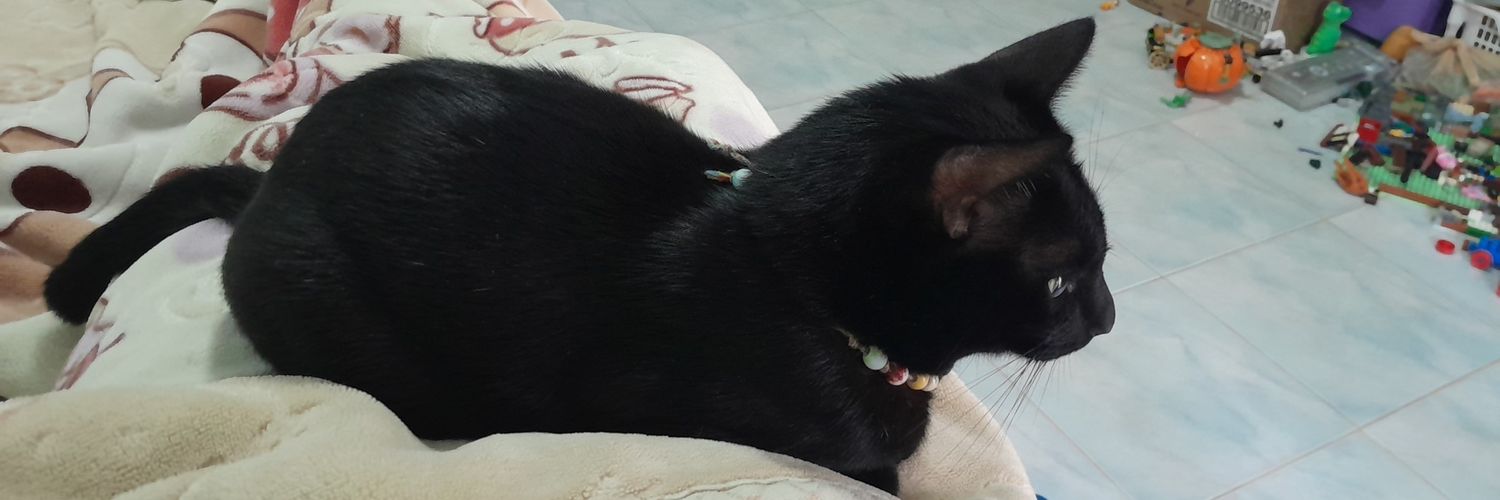 อุ๊ต่ะ banner