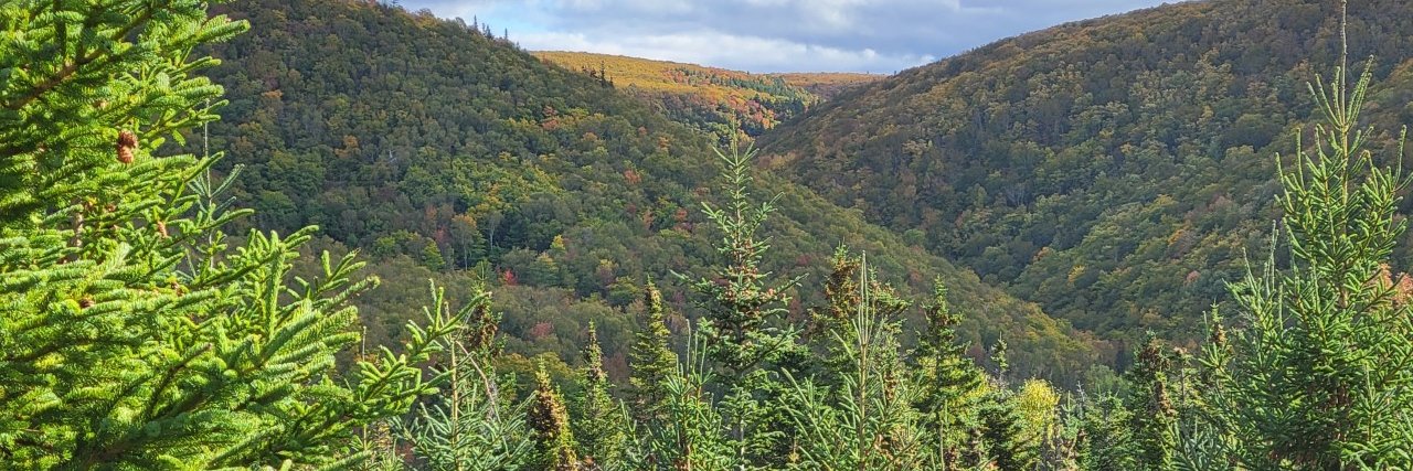 Lynspafford's profile banner image