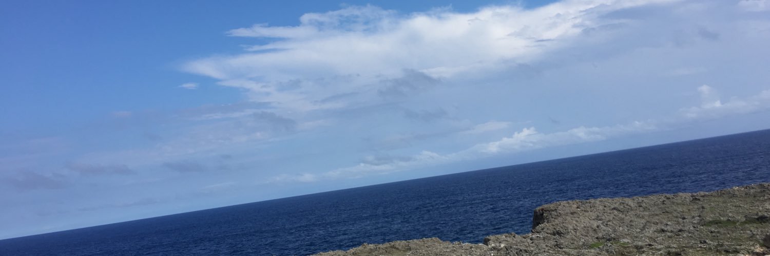 tkdtomoki's profile banner image