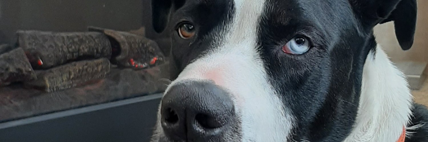 UPatriotCindy's profile banner image