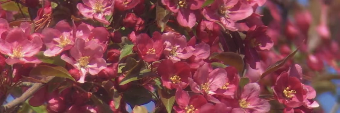 ingalls_nick's profile banner image