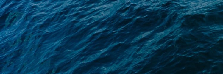 Phacha_Lin's profile banner image