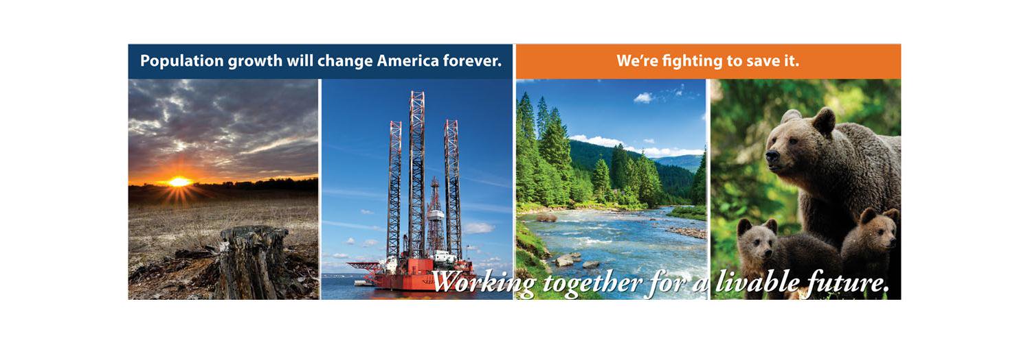 npg_org's profile banner image