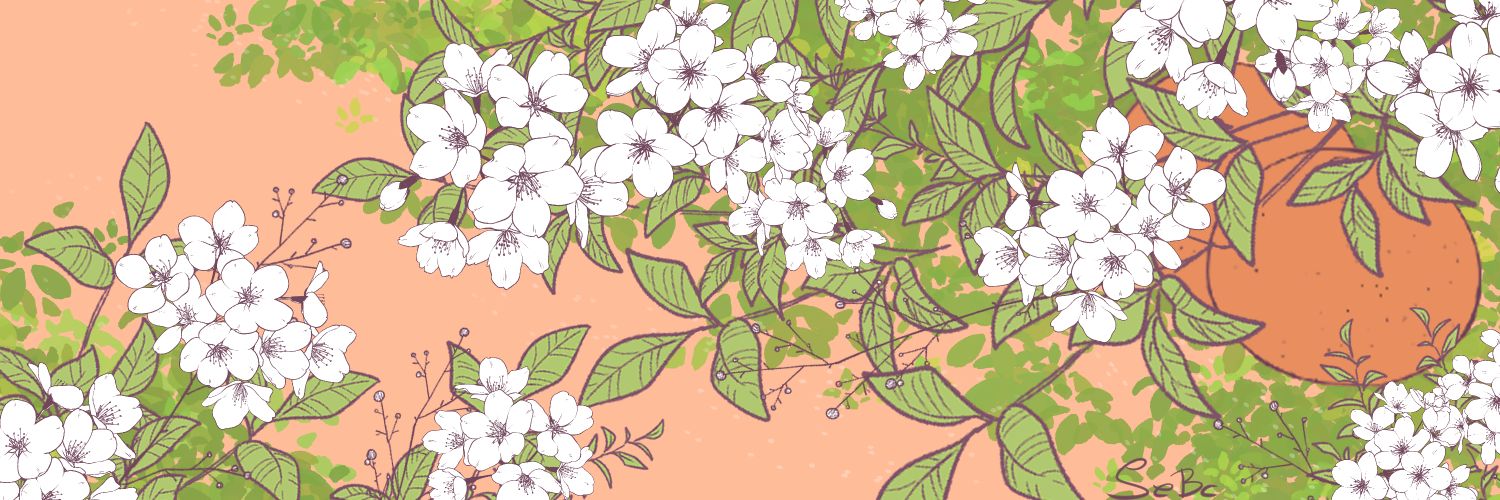 the_sebc's profile banner image