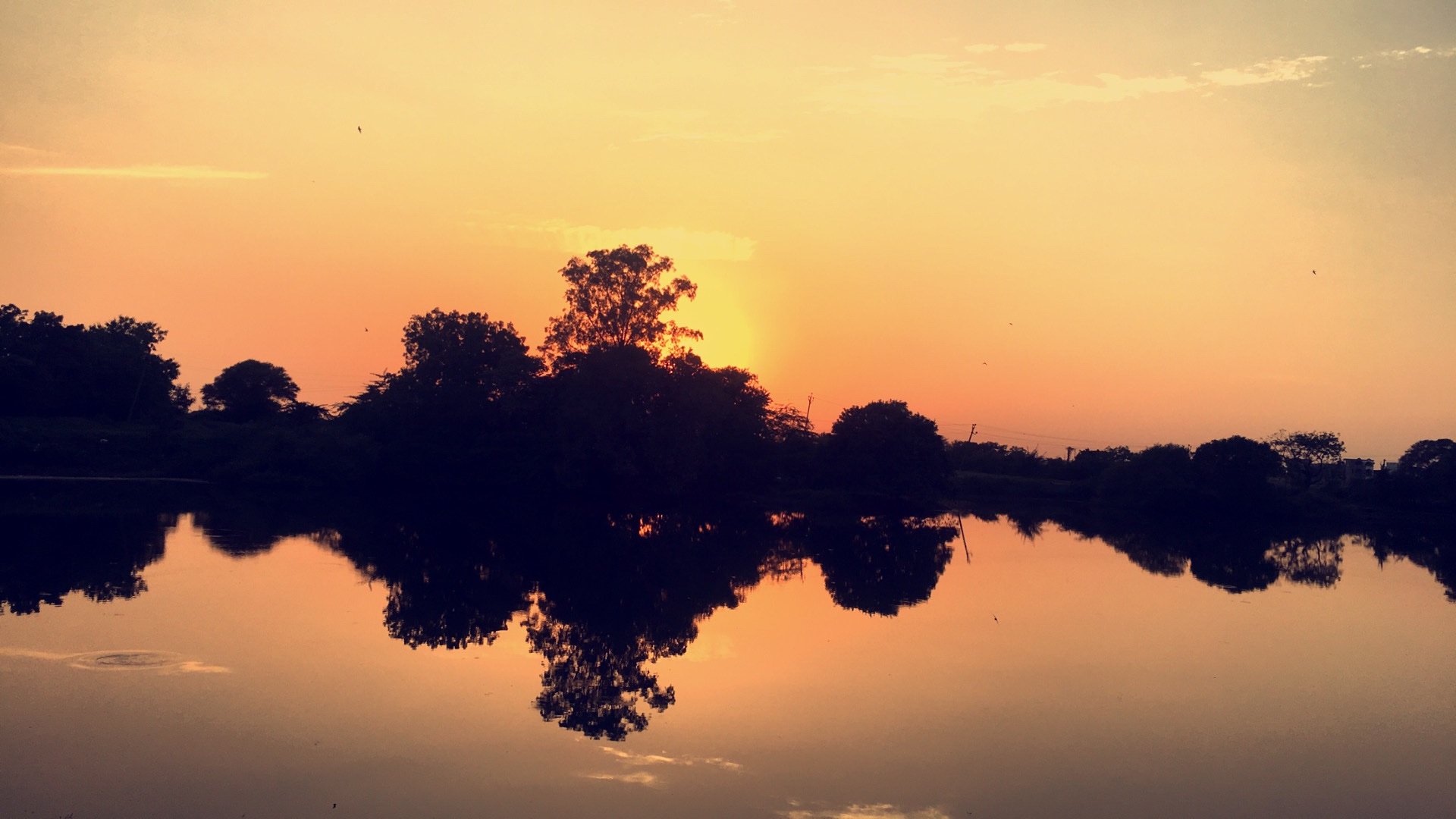 Patelsakir's profile banner image