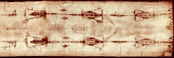 zypldot Profile Banner