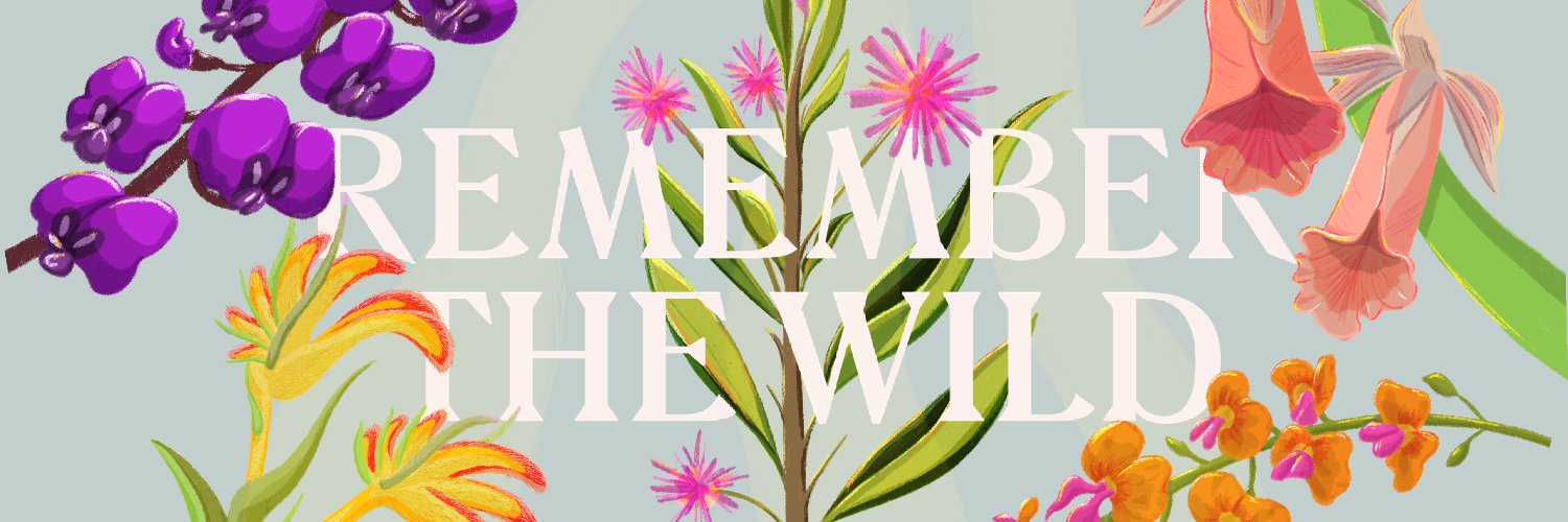 Remember The Wild banner