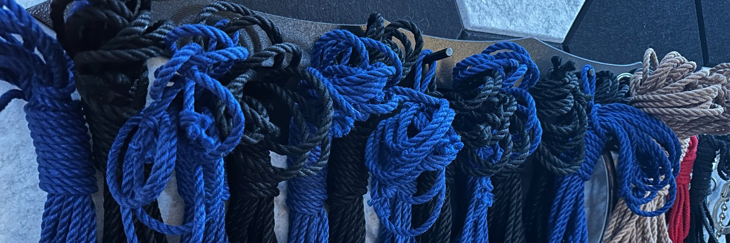 Dominatrix of Paris—Domina M banner