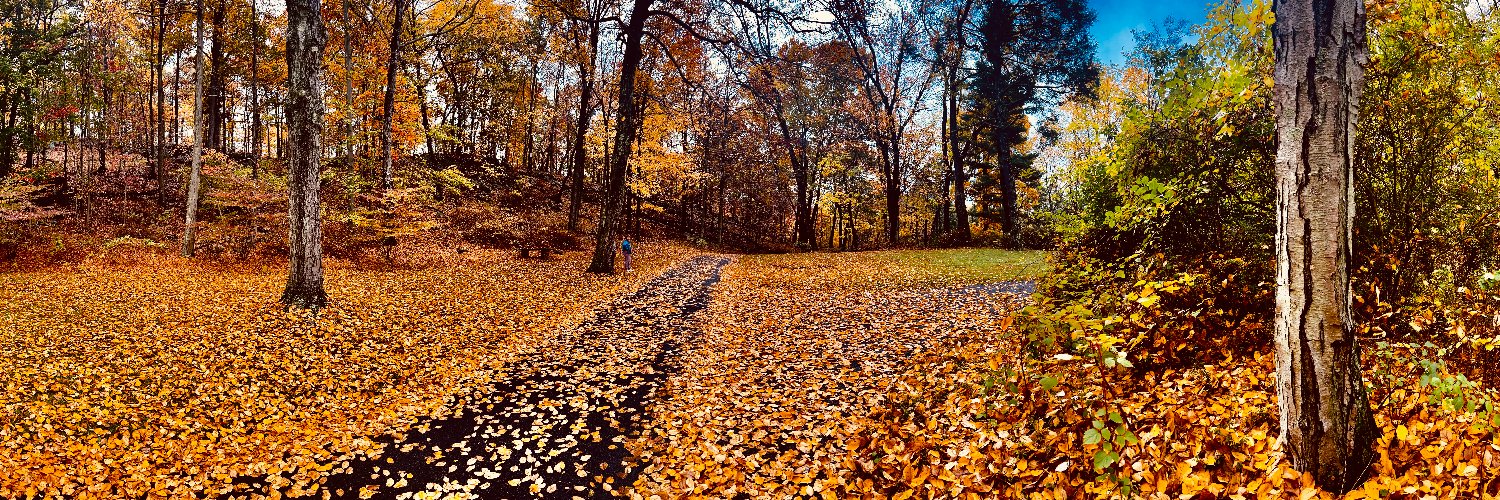 William H. Munn, III, Ph.D. banner