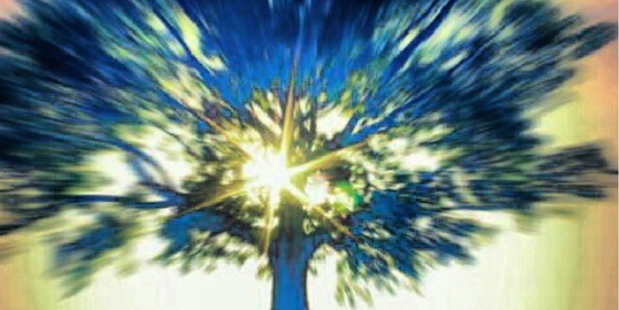 Cesar Pallone banner