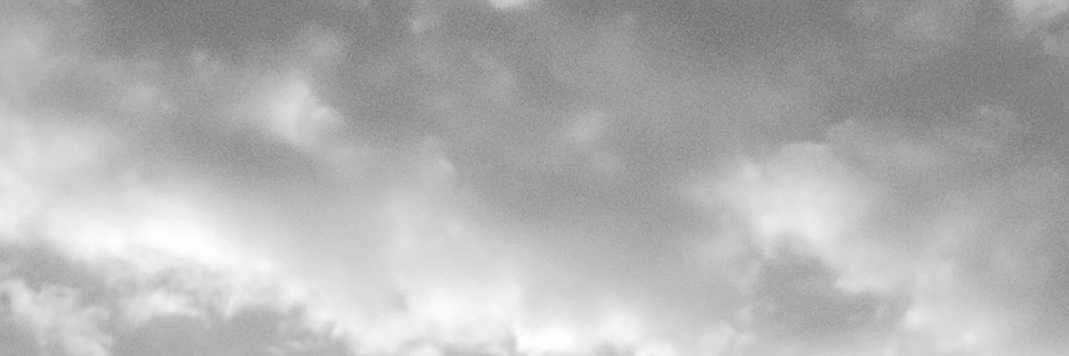 ReflejoErrante's profile banner image