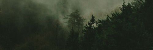 unrequited____'s profile banner image
