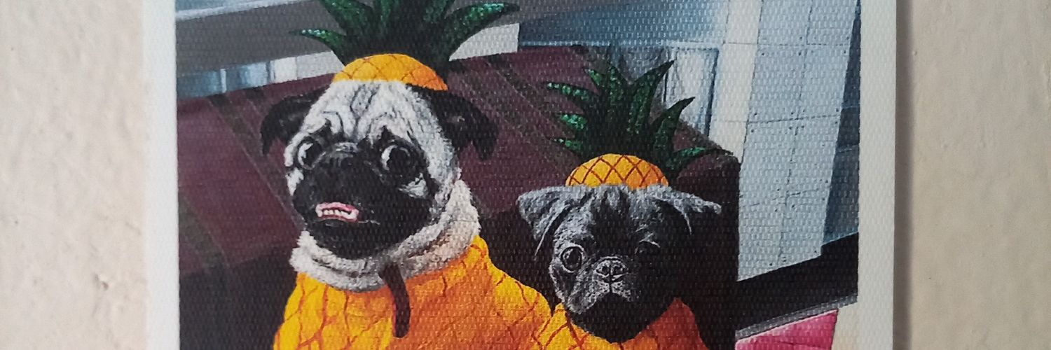 FyCSWcdmx's profile banner image