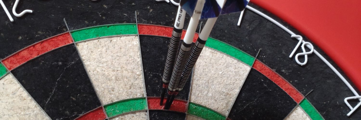 siitake_darts's profile banner image