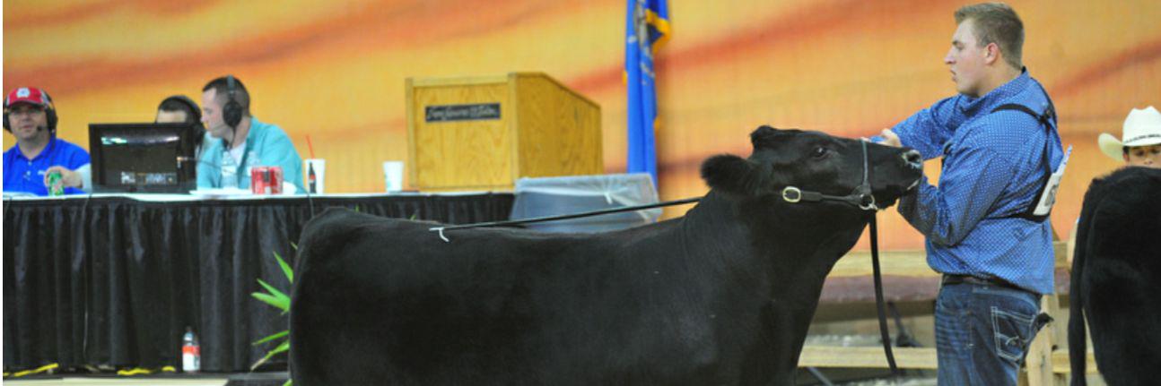 borntoshow33's profile banner image