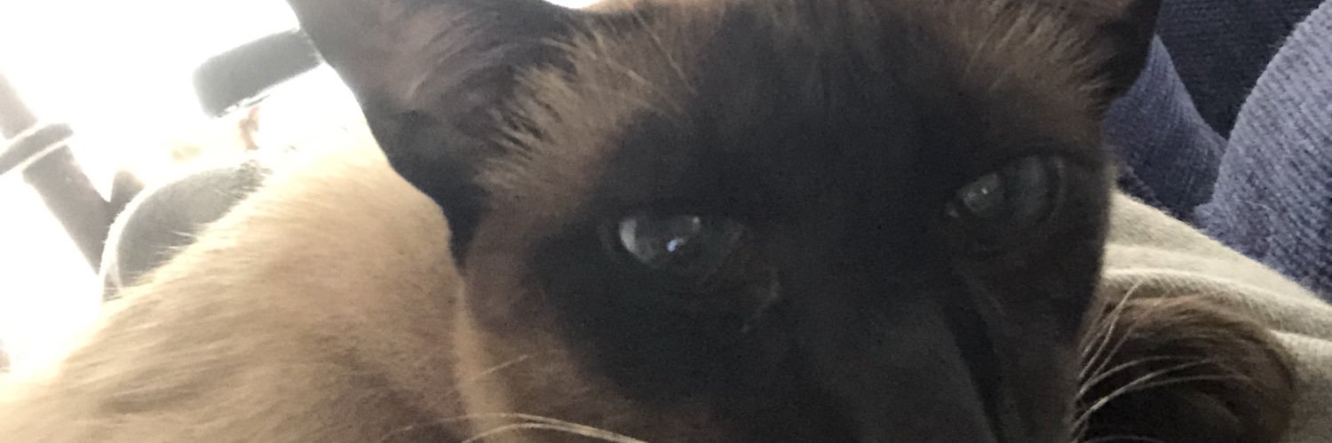 ⚜️Stuart Hayes⚜️♊️ banner