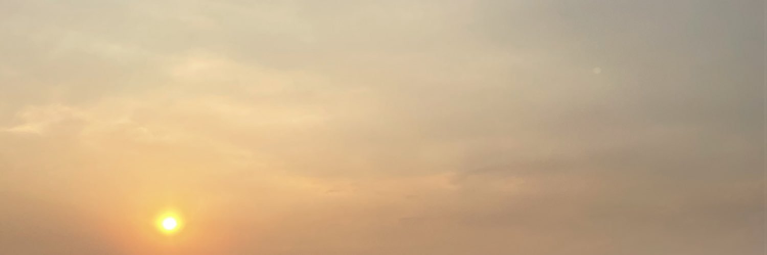 _danikkk101's profile banner image