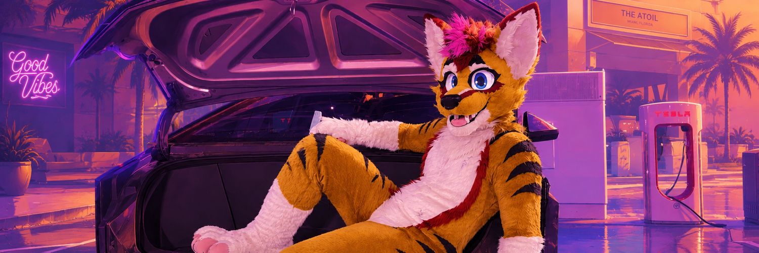 Tindyflame's profile banner image