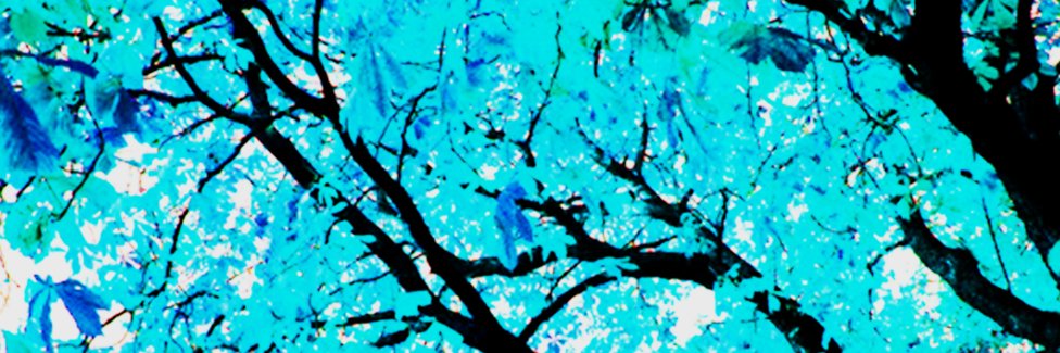 thranduiIien's profile banner image
