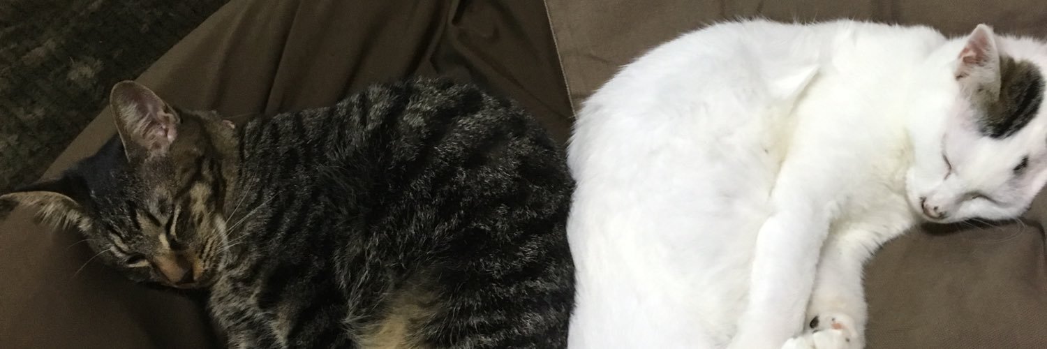 pipipi518's profile banner image