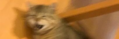 GoldenSpiceee's profile banner image