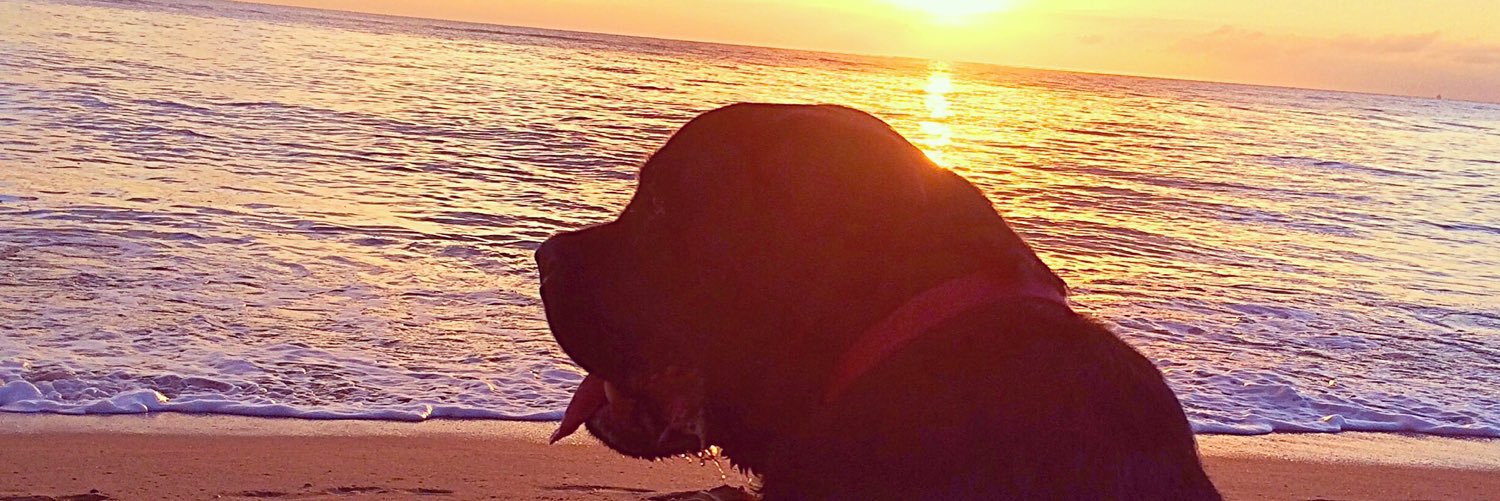 Krisjam72's profile banner image