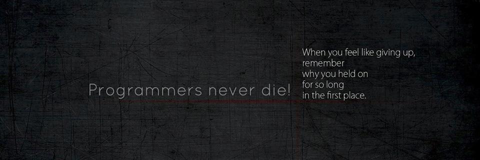 Java Programmer banner