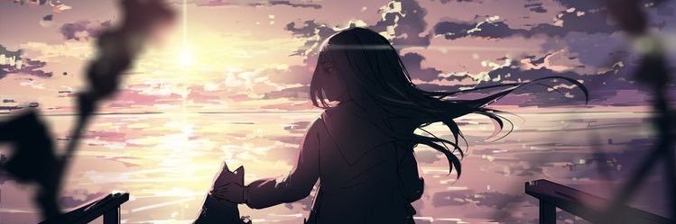 himeririe's profile banner image