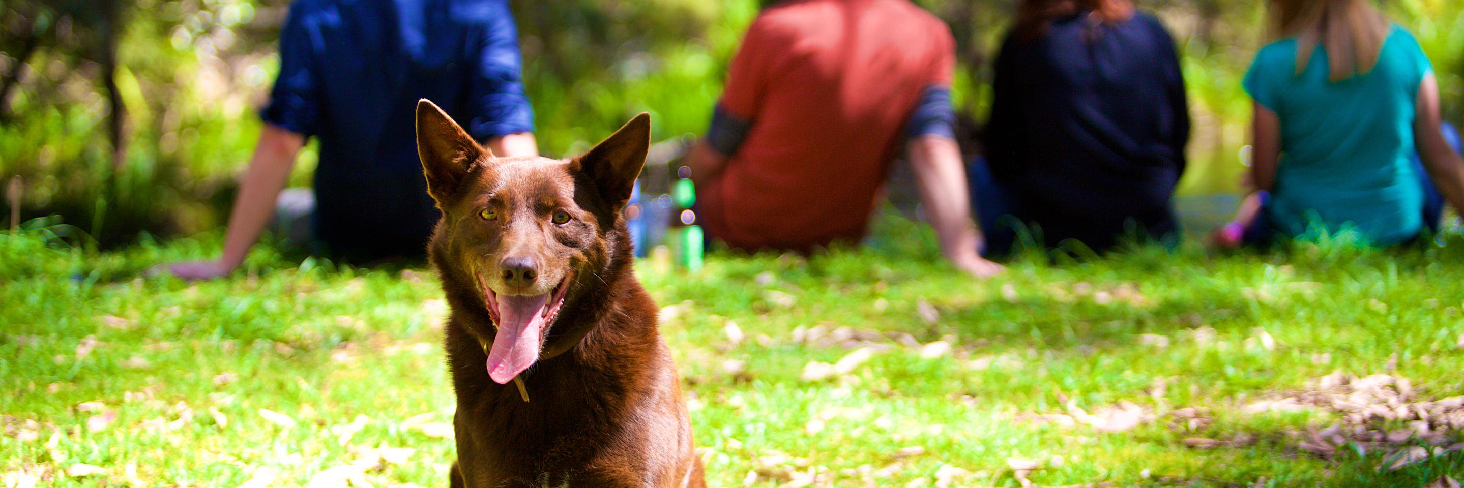 WattsRiverBeer's profile banner image
