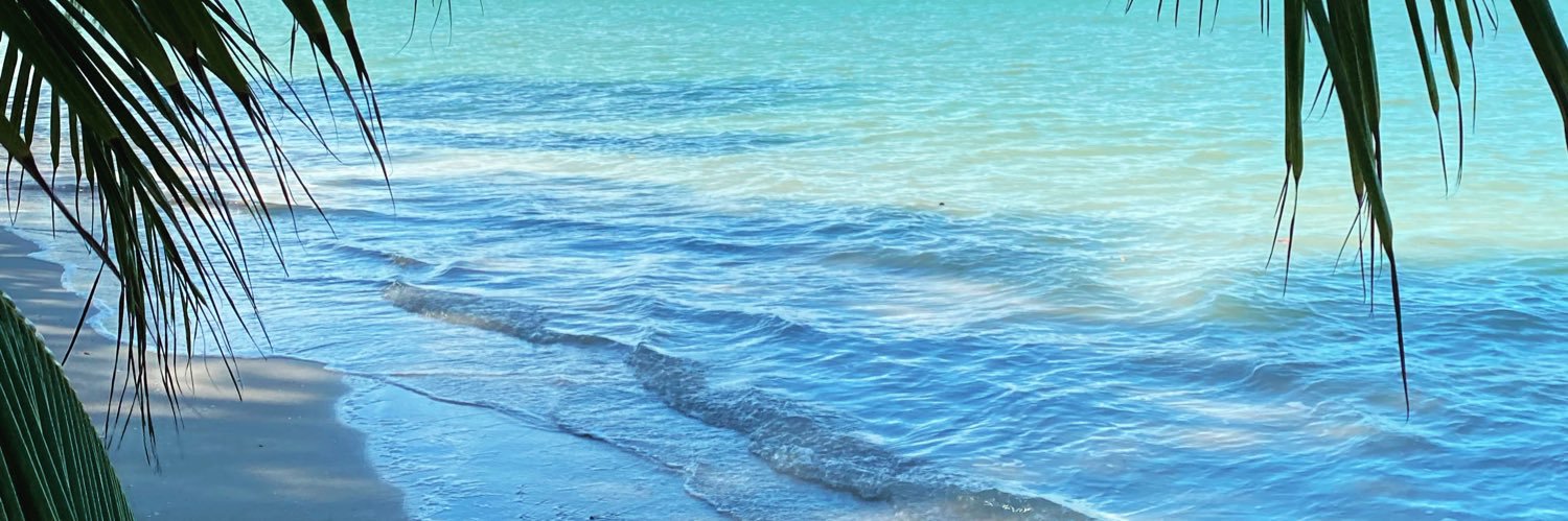 capitan villalobos banner